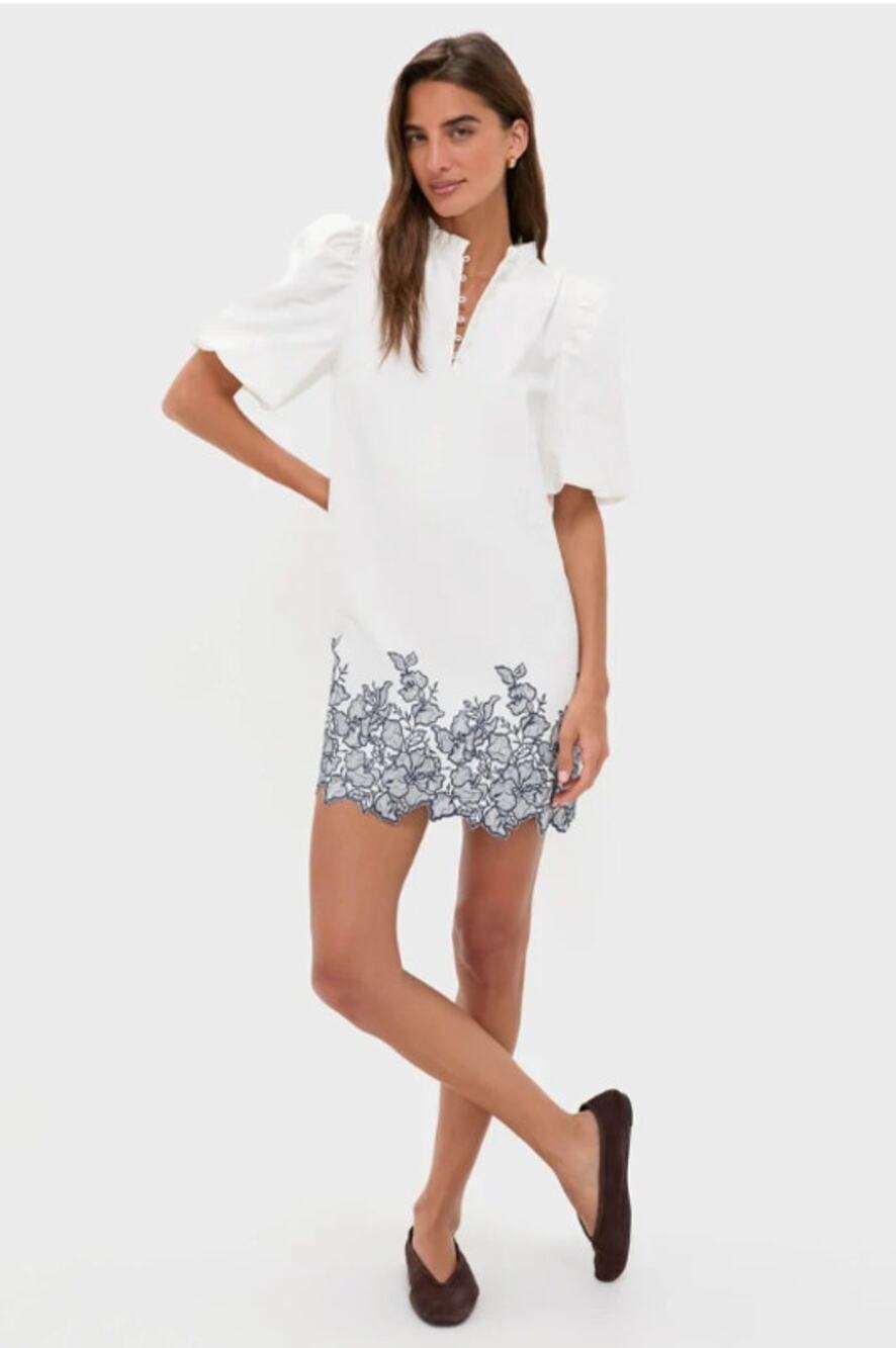 Tuckernuck Hyacinth House Mini Dress Large Embroidered White Navy Puff Sleeves - Picture 1 of 14